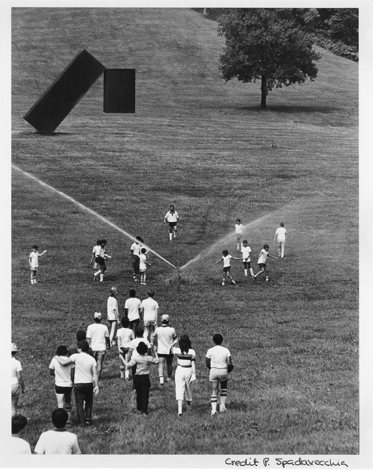 Day Games at Storm King Art Center, 1984
