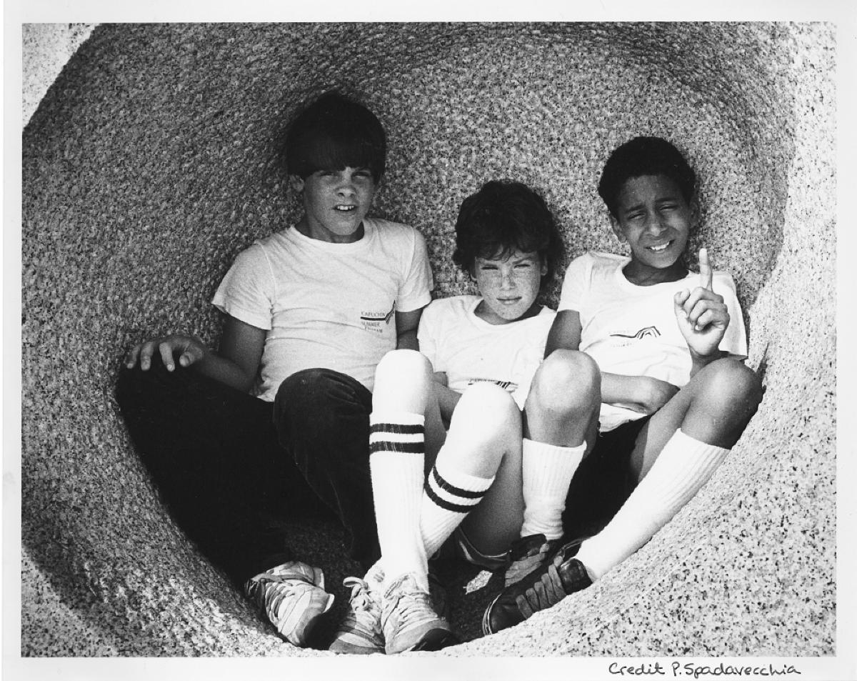 Day Games at Storm King Art Center, 1984