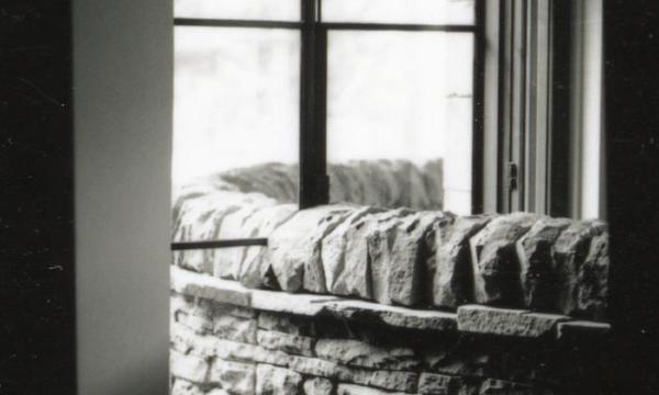 Andy Goldsworthy, <em>Tree fold</em>, 2000 (Opening reception, May 21, 2000)