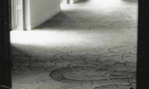 Andy Goldsworthy, <em>River</em>, 2000 (Opening reception, May 21, 2000)