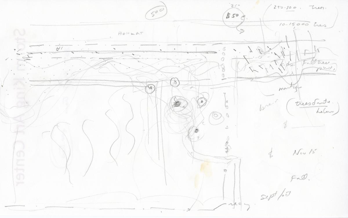 Maya Lin,&nbsp;<em>Wavefield</em>&nbsp;drawing, June 4, 2008&nbsp;