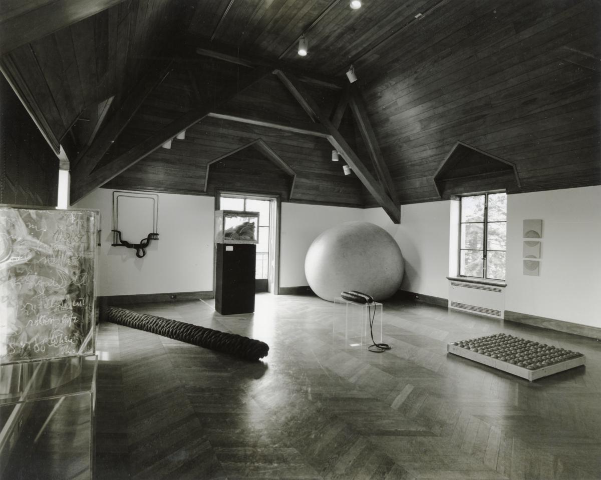 <em>The Emerging Real</em>, April 7 &ndash; October 28 1973 (installation view, 1973)