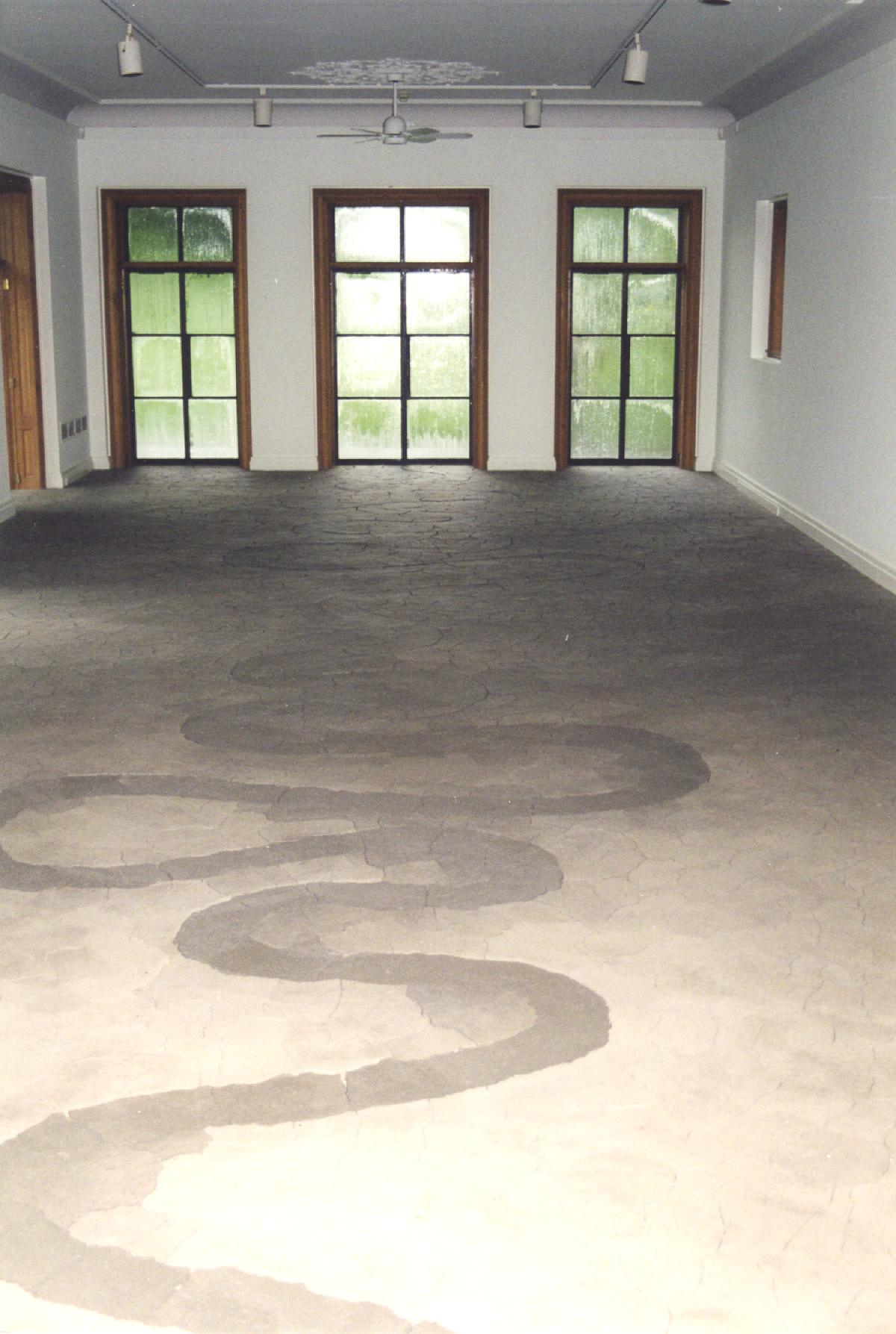 Andy Goldsworthy, <em>River</em>, 2000 (installation view, 2000)