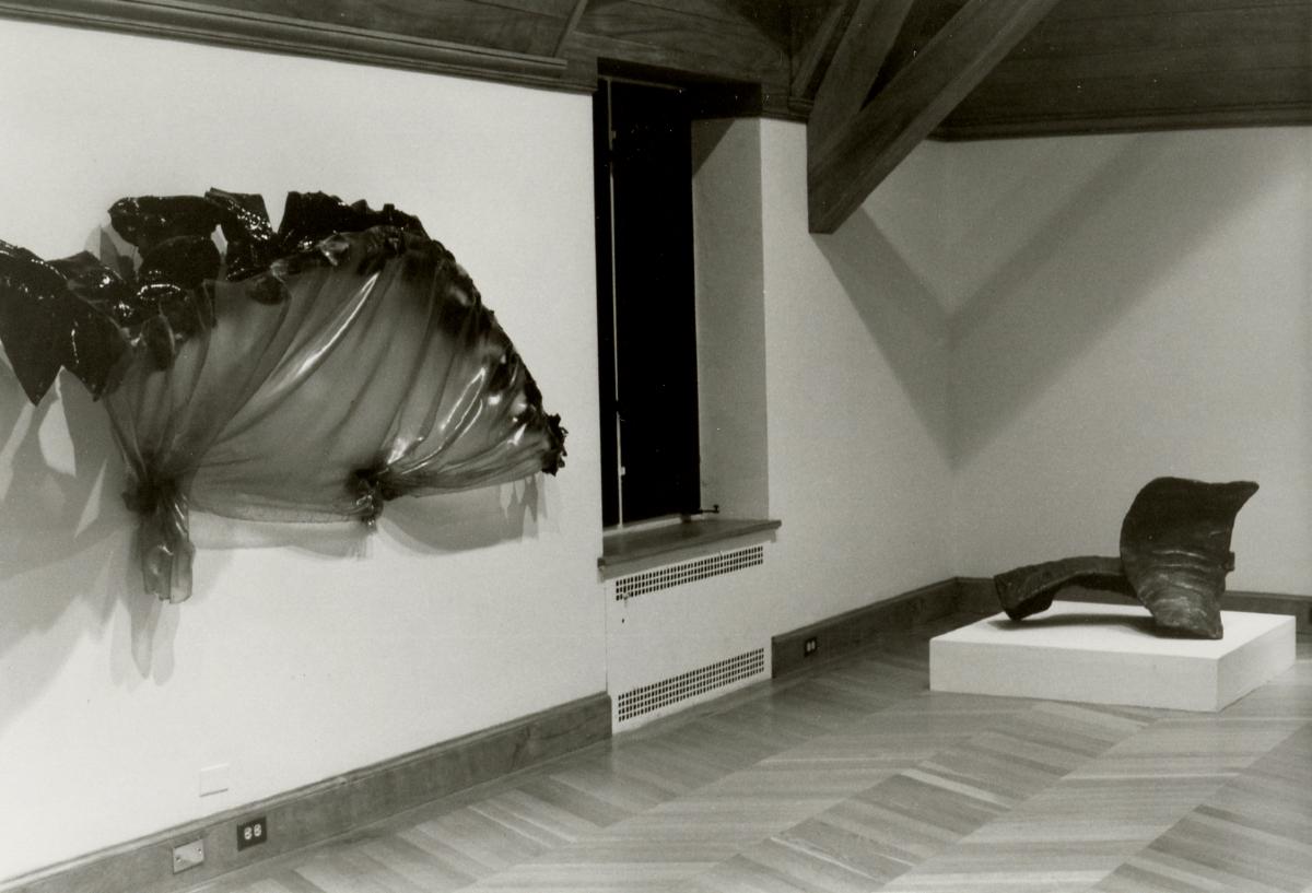 <em>29 Sculptures from the Howard and Jean Lipman Collection</em> (installation view, 1986)