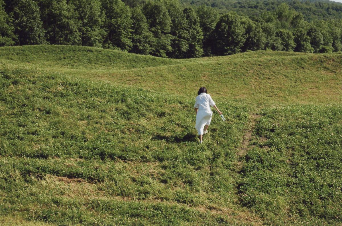 Maya Lin,&nbsp;<em>Storm King Wavefield</em>,&nbsp;2007&ndash;08<br />
(view with Maya Lin, 2009)