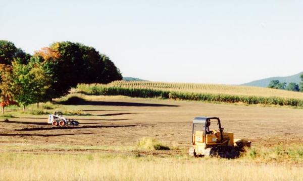 Cornfield in the present location of the di Suvero fields, early 1990s 