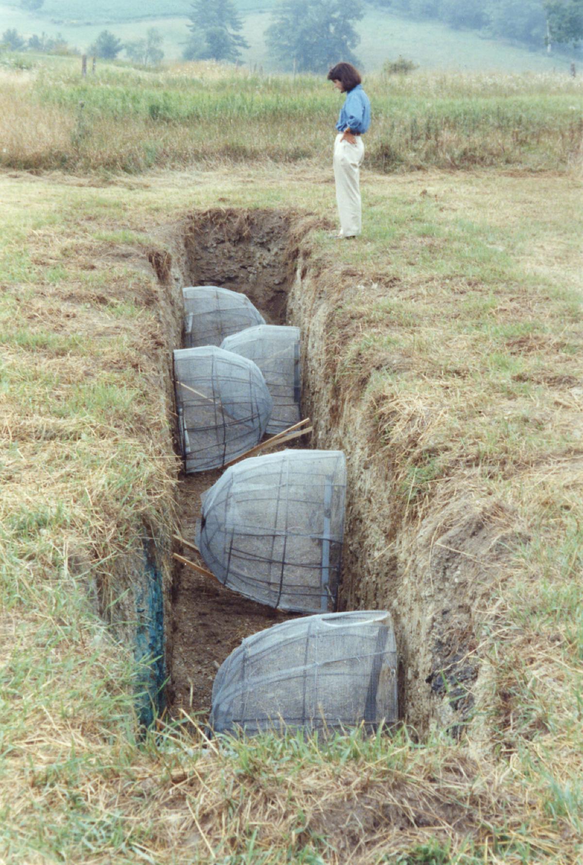 Mia Westerlund Roosen, <em>Adam's Fault</em>, 1993–94 (installation view, 1994)