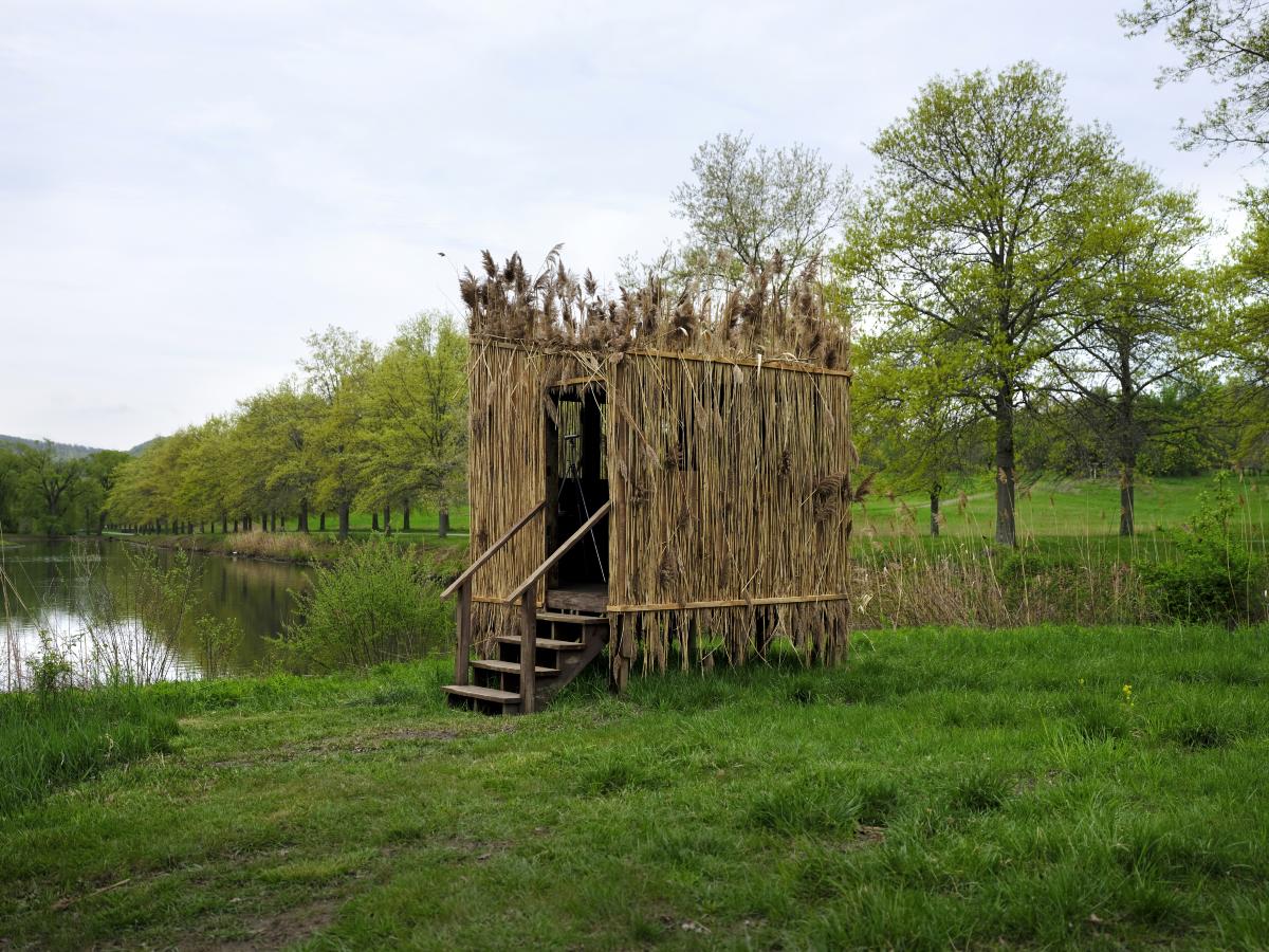 Hunting Blind (The Dandy Rococo)