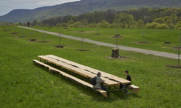 Outlooks: Jean Shin Installation Photo