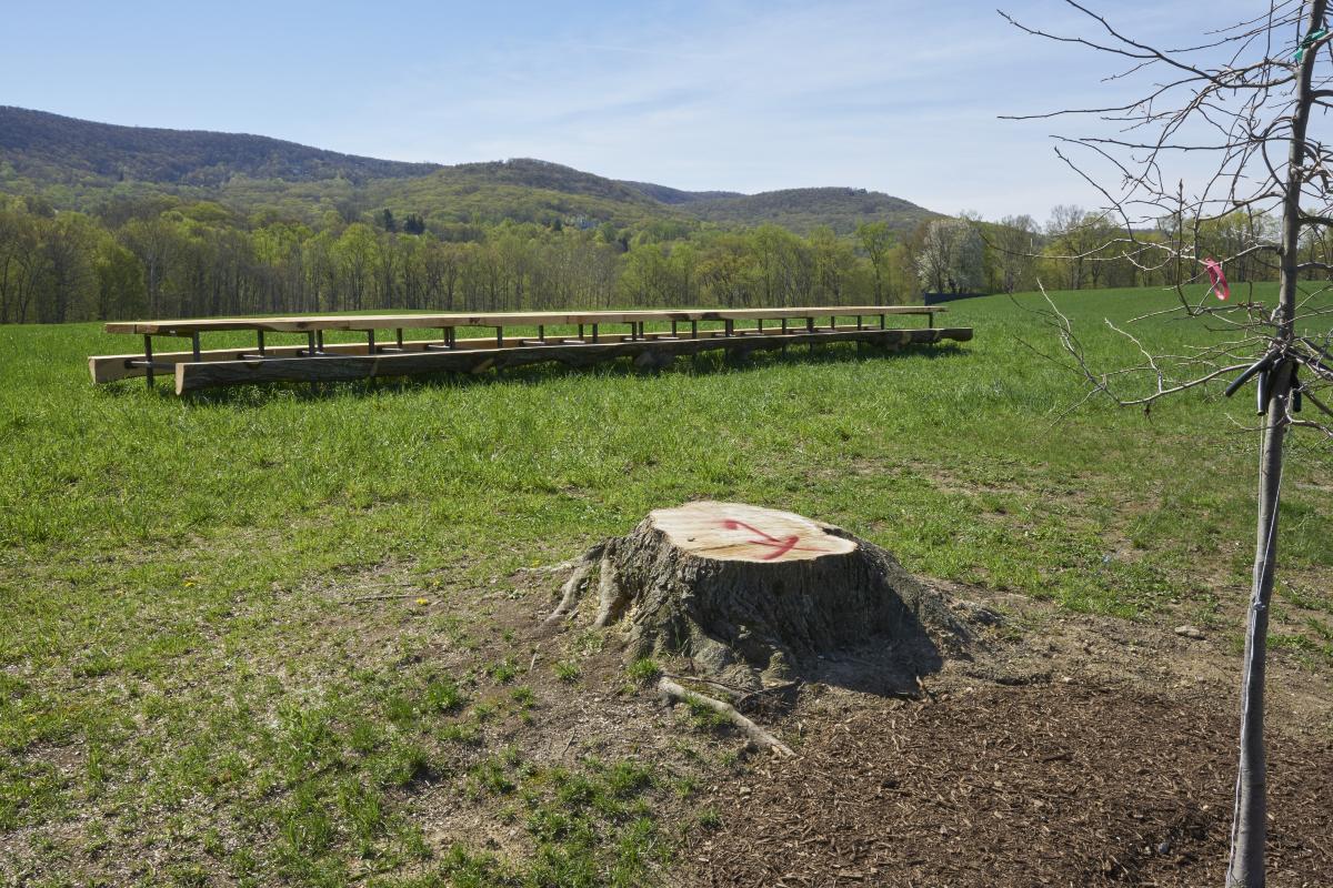 Outlooks: Jean Shin Installation Photo