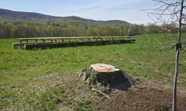 Outlooks: Jean Shin Installation Photo