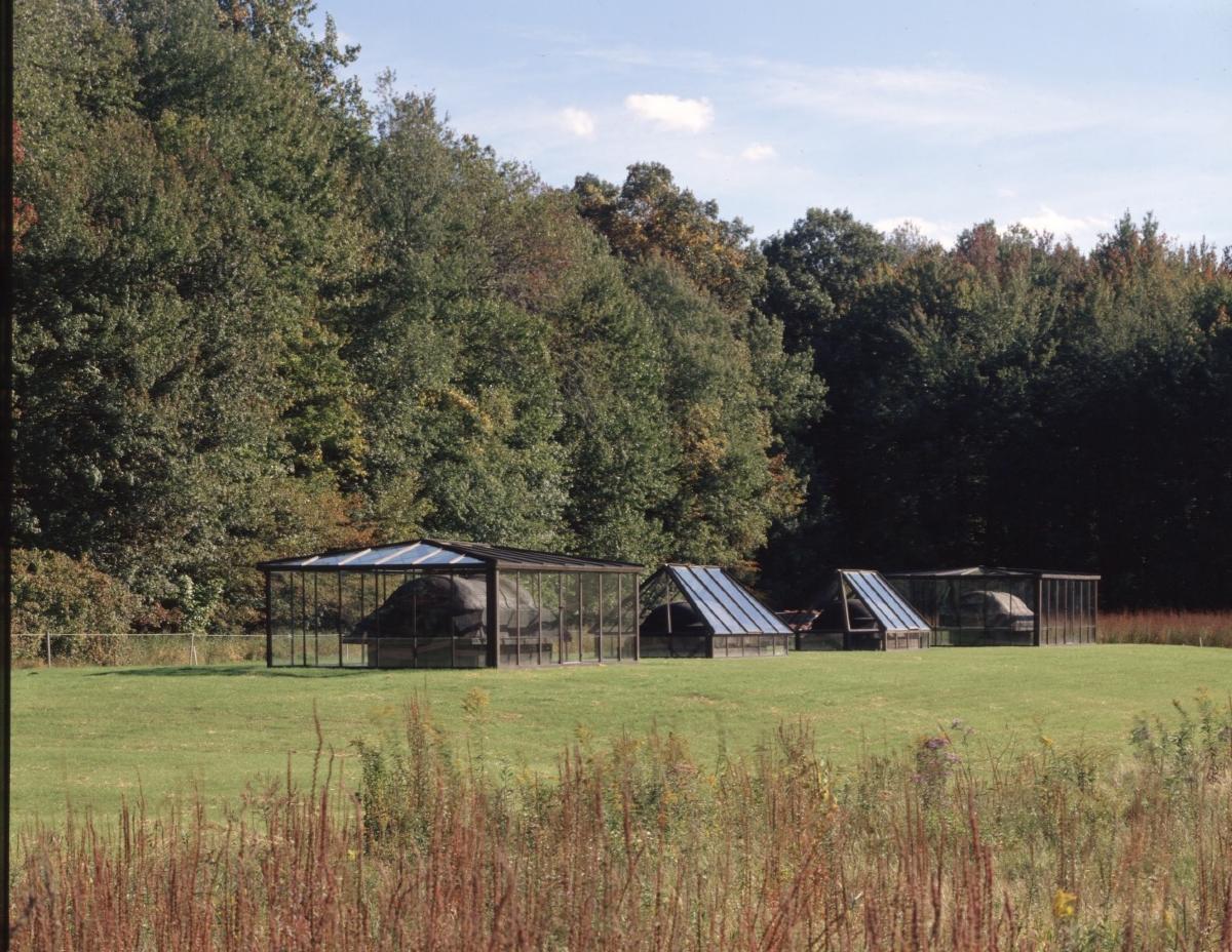 Magdalena Abakanowicz<i><i>, <em>Sarcophagi in Glass Houses</em>, </i>1989</i> (installation view)