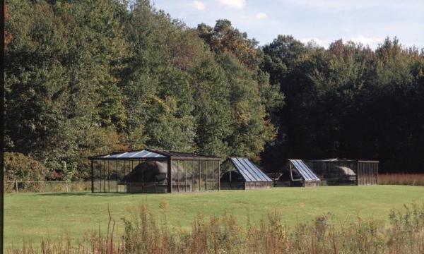Magdalena Abakanowicz<i><i>, <em>Sarcophagi in Glass Houses</em>, </i>1989</i> (installation view)