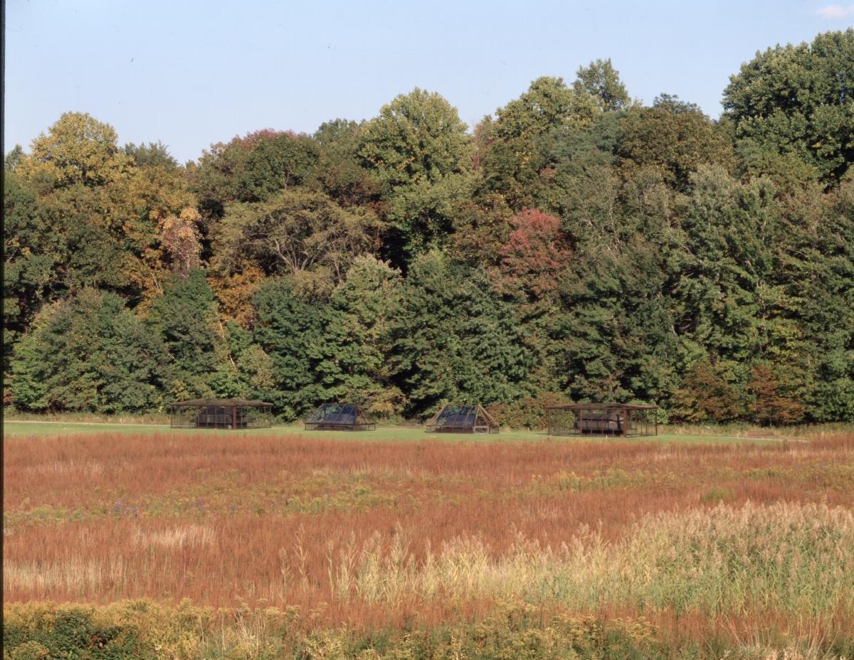 Magdalena Abakanowicz<i><i><i>, <em>Sarcophagi in Glass Houses</em>, </i>1989</i></i> (installation view)
