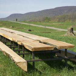 Maple All&eacute;e tree removal, Storm King Art Center, 2019