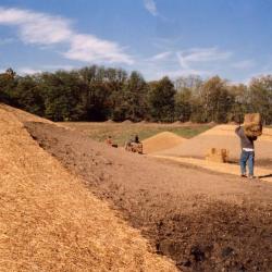 Maya Lin, <em>Storm King </em><em>Wavefield, </em>2007-08 (installation view, 2007)