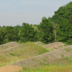 Maya Lin, <em>Storm King </em><em>Wavefield, </em>2007-08 (installation view, 2008)