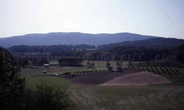 Siah Armajani,<i><i> Gazebo for Two Anarchists: Gabriella Antolini and Alberto Antolini</i>, </i>1992 (site preparation, 1992)