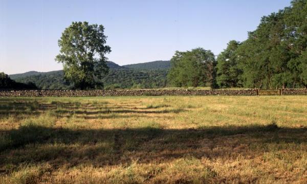 Andy Goldsworthy, <em>Storm King Wall, </em>1997-98 (installation view, 2000)