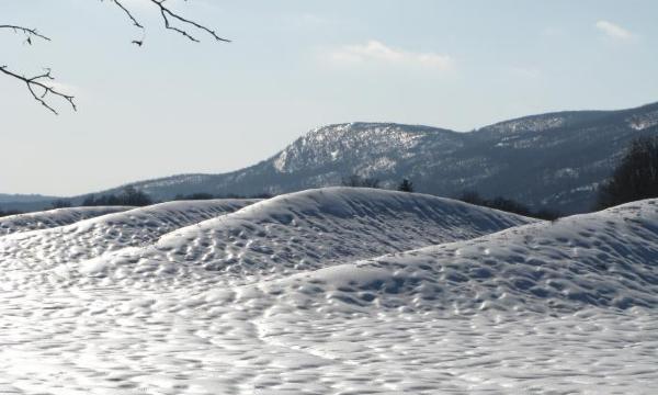 Maya Lin, <em>Wavefield, </em>2007-08 (installation view, 2009)