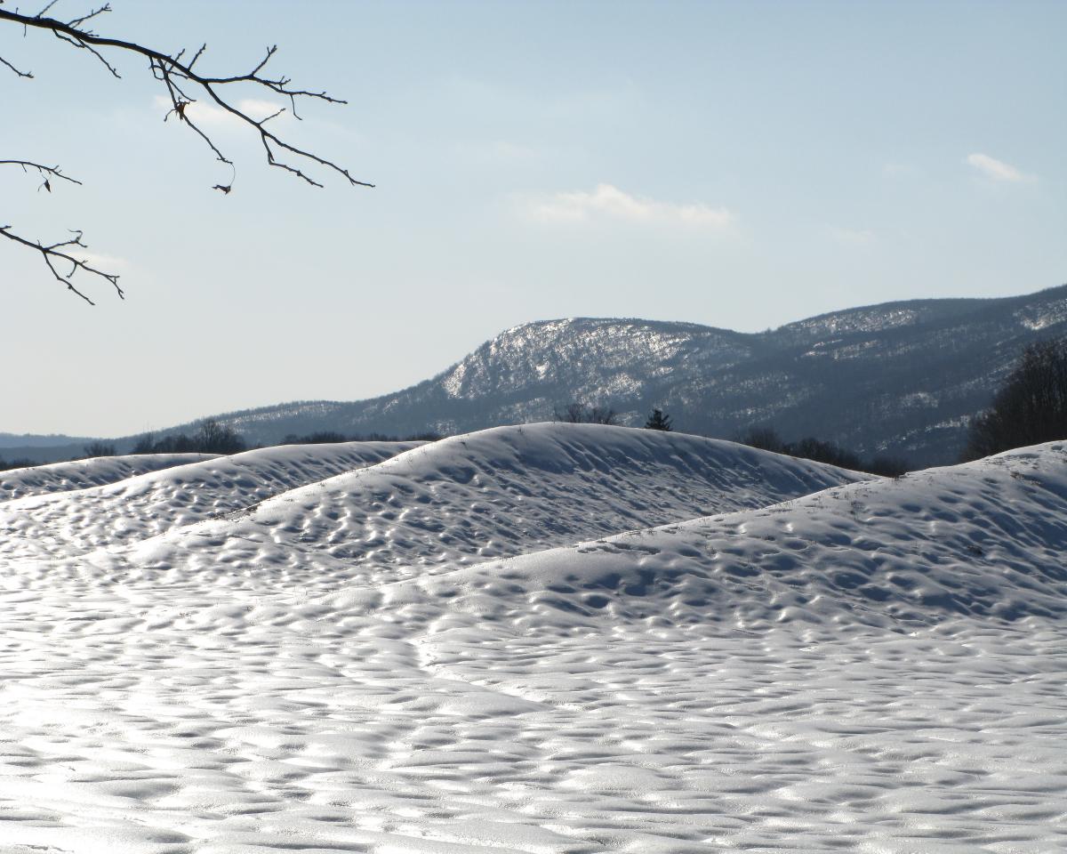 Maya Lin, <em>Wavefield, </em>2007-08 (installation view, 2009)