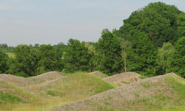 Maya Lin, <em>Storm King </em><em>Wavefield, </em>2007-08 (installation view, 2008)