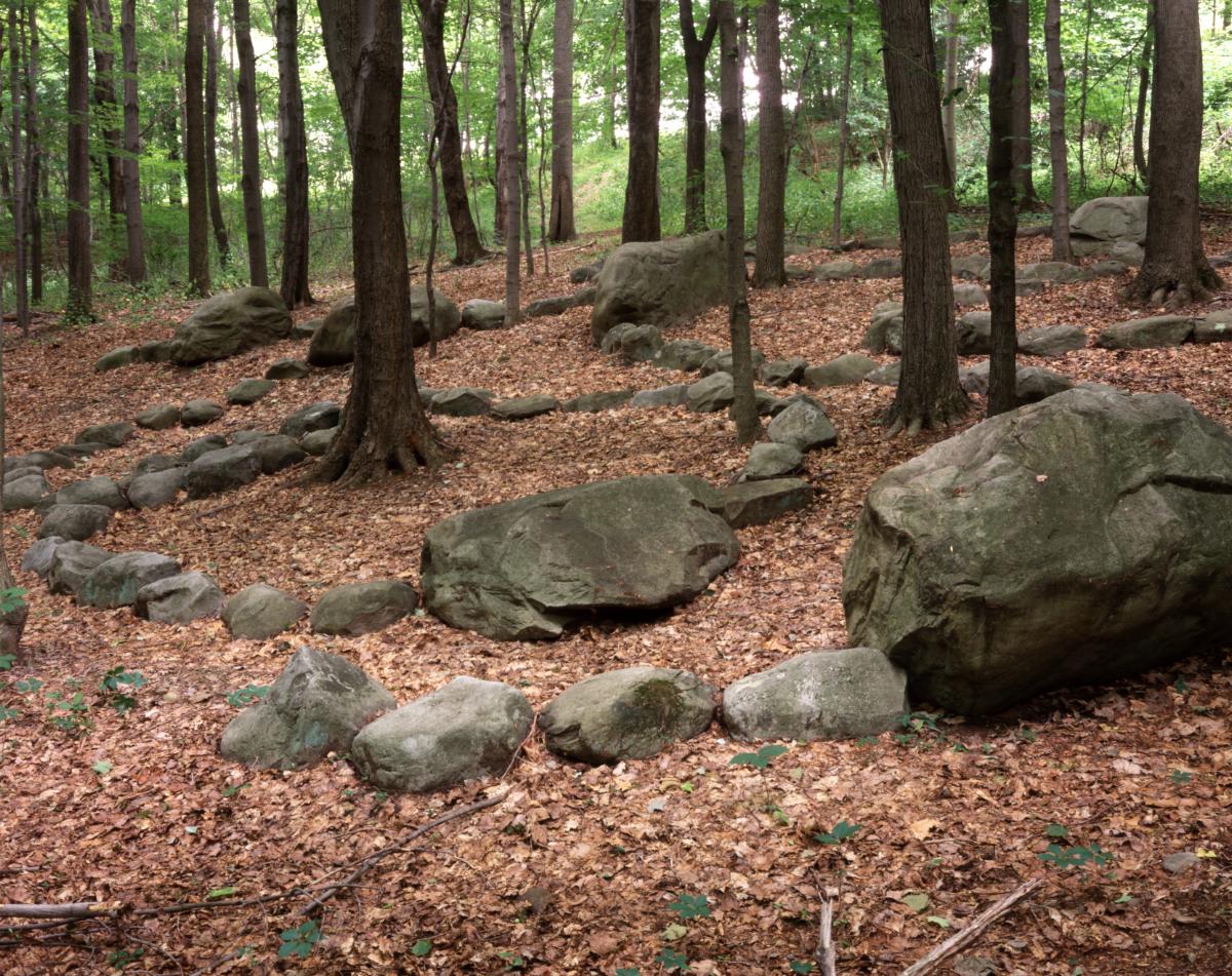 Patricia Johanson, <i>Nostoc ll,&nbsp;</i>1975<br />
(installation view)
