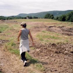Maya Lin, <em>Storm King&nbsp;</em><em>Wavefield</em>, 2007-08 (installation view, 2007)