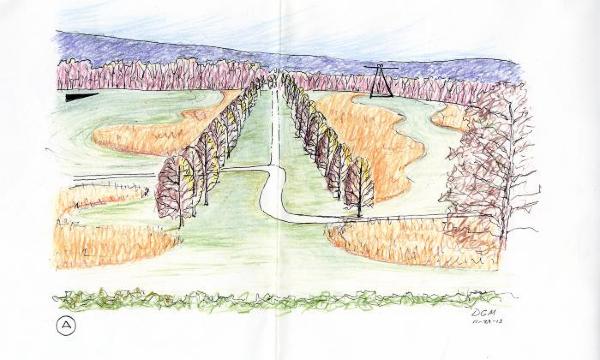 Darrel Morrison, All&eacute;e Sketch, 2013