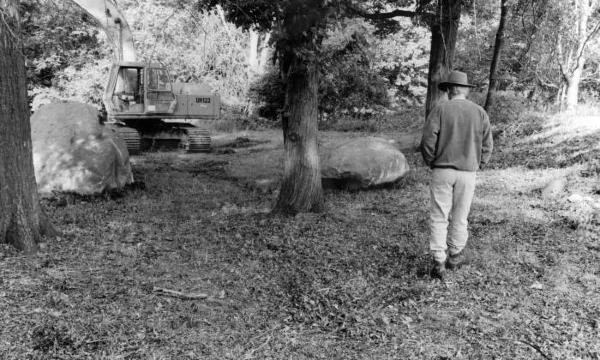 Andy Goldsworthy, <em>Storm King Wall, </em>1997-98 (installation view, 1998)
