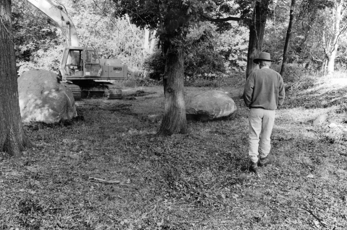 Andy Goldsworthy, <em>Storm King Wall, </em>1997-98 (installation view, 1998)