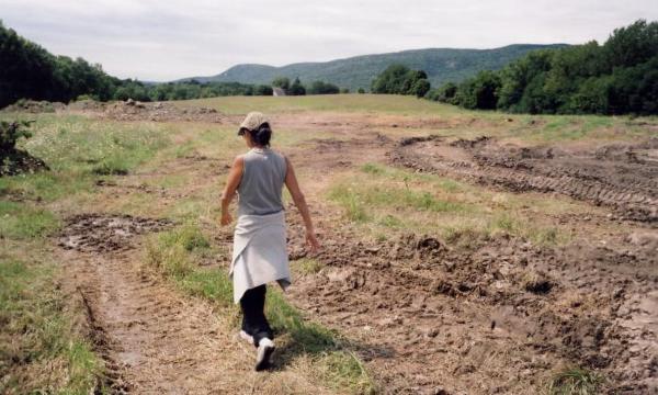Maya Lin, <em>Storm King&nbsp;</em><em>Wavefield</em>, 2007-08 (installation view, 2007)