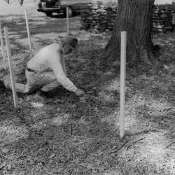 Andy Goldsworthy, <em>Storm King Wall, </em>1997-98 (installation view, 1998)