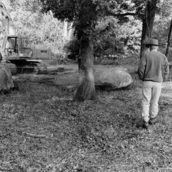 Andy Goldsworthy, <em>Storm King Wall, </em>1997-98 (installation view, 1998)