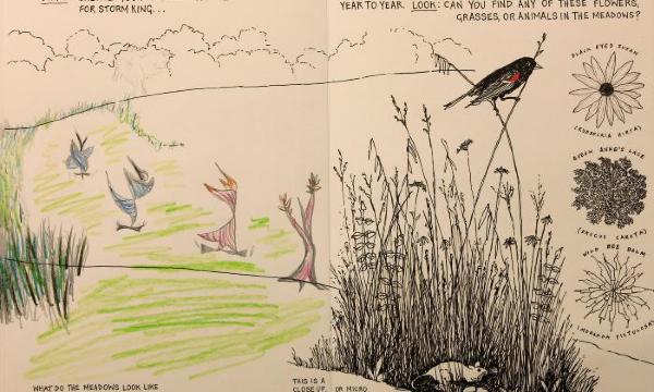 <em>Field Guide for Young Explorers</em>, Storm King Art Center, 2016