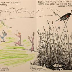 <em>Field Guide for Young Explorers</em>, Storm King Art Center, 2016