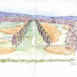 Allée, Storm King Art Center, 2018