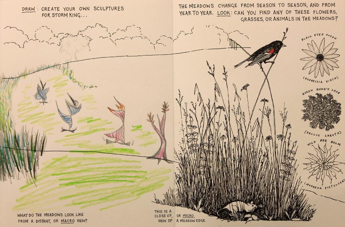 <em>Field Guide for Young Explorers</em>, Storm King Art Center, 2016