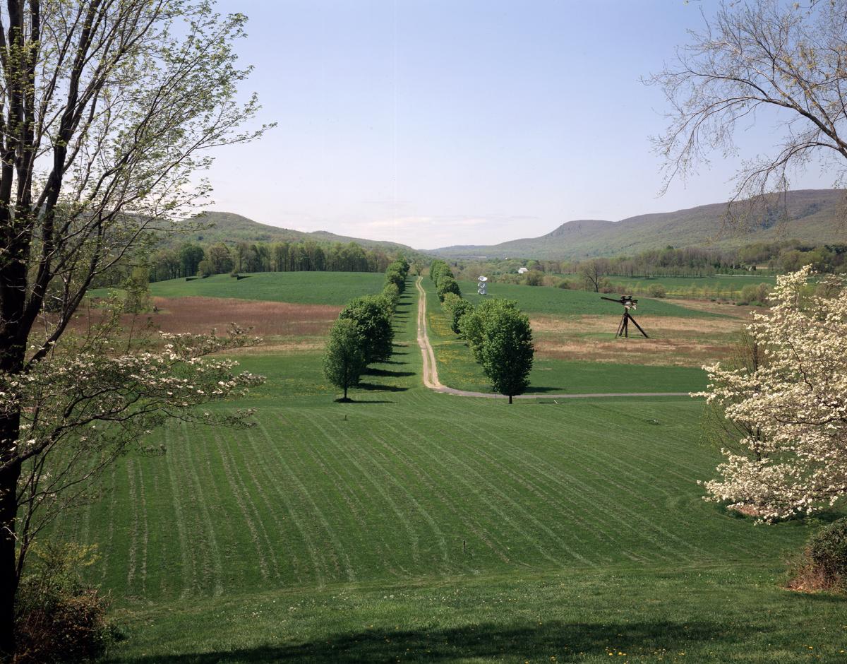 Maple Allée, Storm King Art Center, 1995