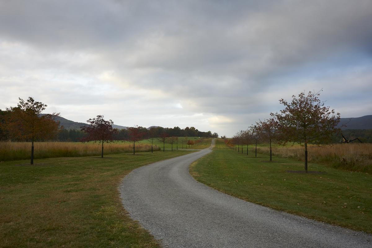 Maple Allee, 2019