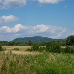 Beatrice Stern, H. Peter Stern, Dr. Margaret Johns, Storm King Art Center, 1984