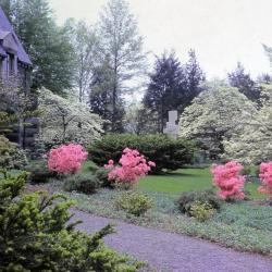 Museum Hill Garden, Storm King Art Center, 1962