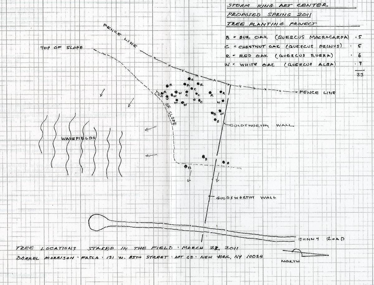 Darrel Morrison, Tree Planting Project Plan, Storm King Art Center, 2011