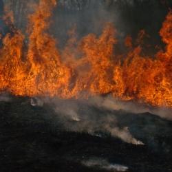 Controlled burn of native grasses, Storm King Art Center, 2012<br />
Mark di Suvero,&nbsp;<em>Pyramidian,&nbsp;</em>1987/1998<br />
Mark di Suvero,&nbsp;<i>Beethoven&#39;s Quartet,&nbsp;</i>2003<br />
Mark di Suvero<em>, Mon P&egrave;re, Mon P&egrave;re, </em>1973-75<br />
Mark di Suvero,&nbsp;<em>Mother Peace, </em>1969-70 (installation view, 2012)