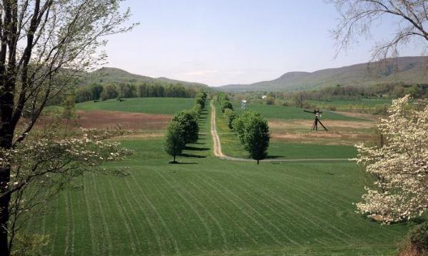 Maple Allée, Storm King Art Center, 1995