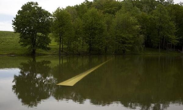 William Lamson, <em>Last Light</em>, 2012<br />
(installation view, 2012)