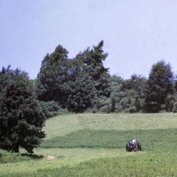 Construction, Storm King Art Center, 1963