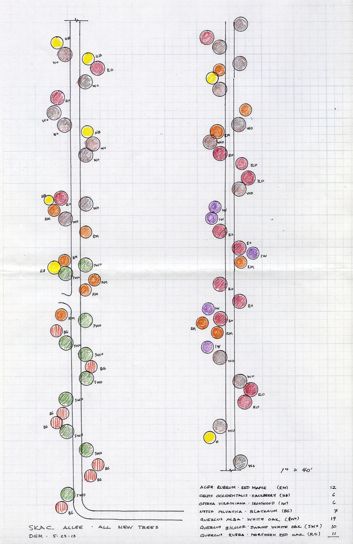 Darrel Morrison, Allée Tree Plan, Storm King Art Center, 2013