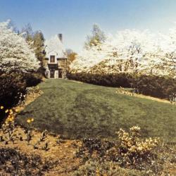 Early view, Storm King Art Center, 1963