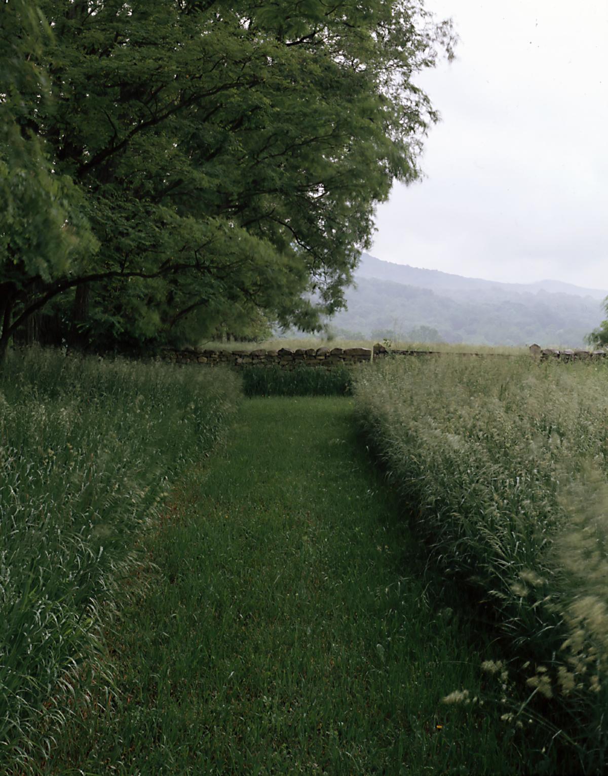 Plantings Near the Goldsworthy